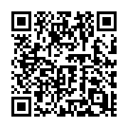 QR code linking to https://deploy-preview-728--hugothemes.netlify.app/themes/hugo-fraktur-theme/
