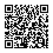 QR code linking to https://deploy-preview-728--hugothemes.netlify.app/themes/ritzy/