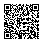 QR code linking to https://deploy-preview-728--hugothemes.netlify.app/themes/somestyleplease/