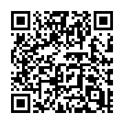 QR code linking to https://deploy-preview-728--hugothemes.netlify.app/themes/hugo-theme-yinyang/