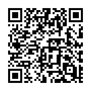 QR code linking to https://deploy-preview-728--hugothemes.netlify.app/themes/hugo-theme-techdoc/