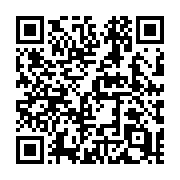 QR code linking to https://deploy-preview-728--hugothemes.netlify.app/themes/loveit/
