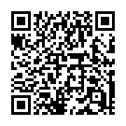 QR code linking to https://deploy-preview-728--hugothemes.netlify.app/themes/digio-theme/